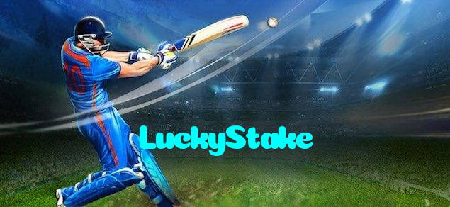 available types of LuckyStake bet including pre-match live express and system bets